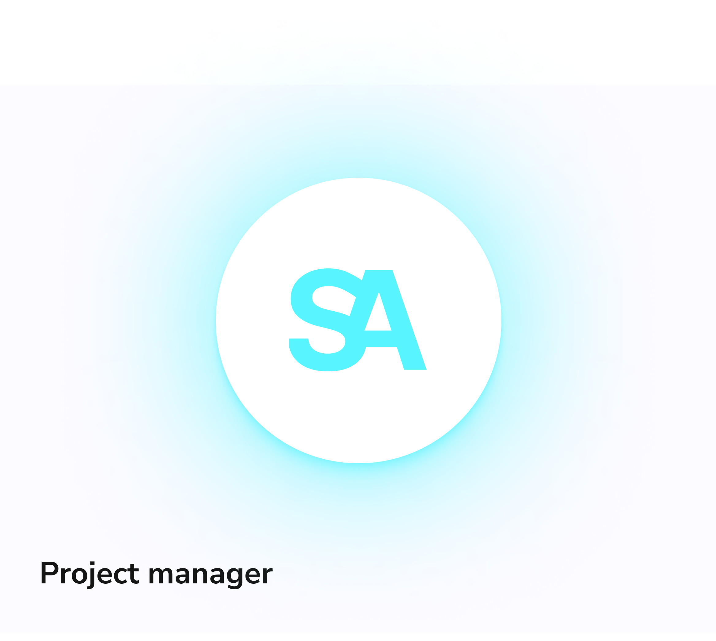 Project manager